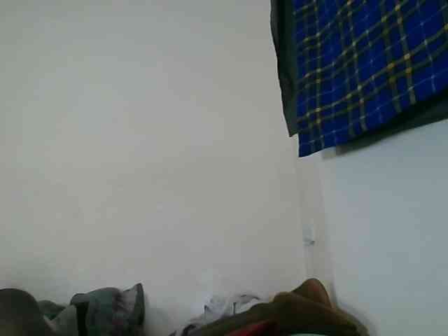 Niceone5 webcam
