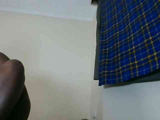 Niceone5 webcam
