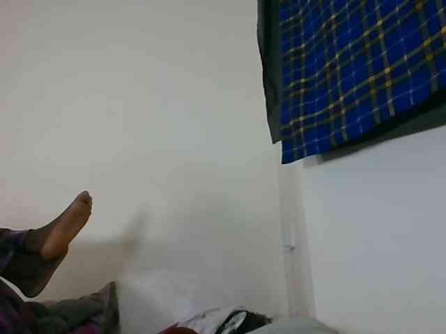 Niceone5 webcam