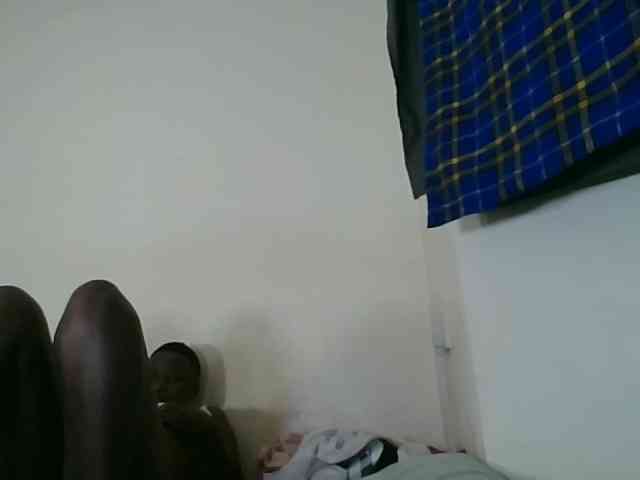Niceone5 webcam