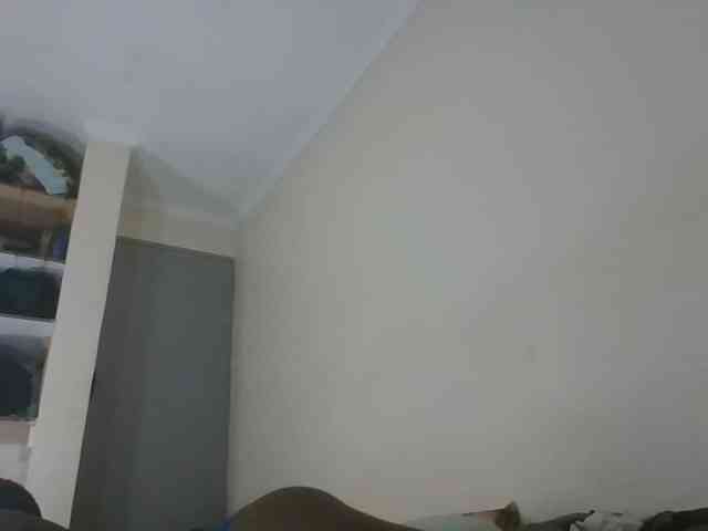 Niceone5 webcam