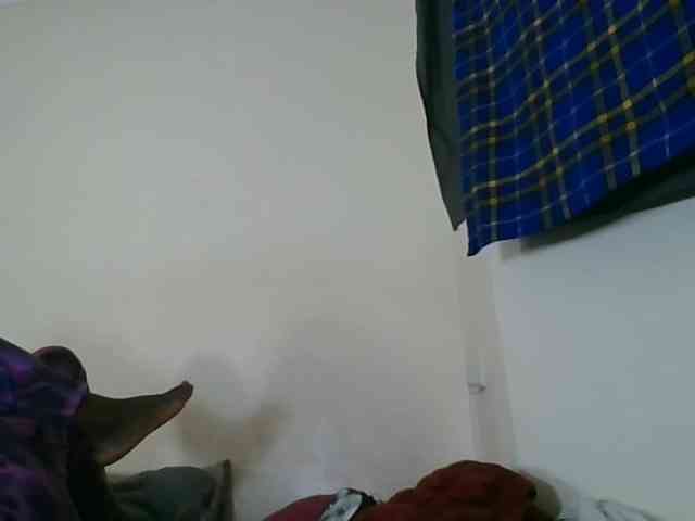 Niceone5 webcam