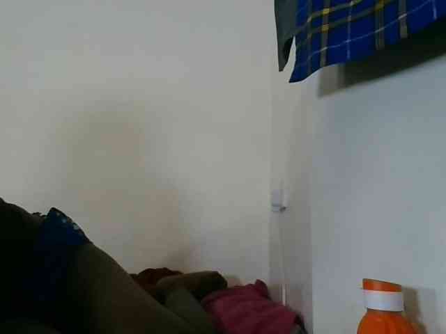 Niceone5 webcam
