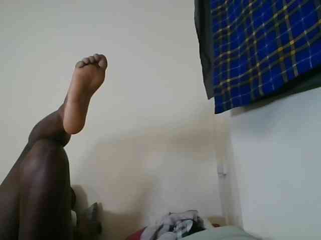 Niceone5 webcam