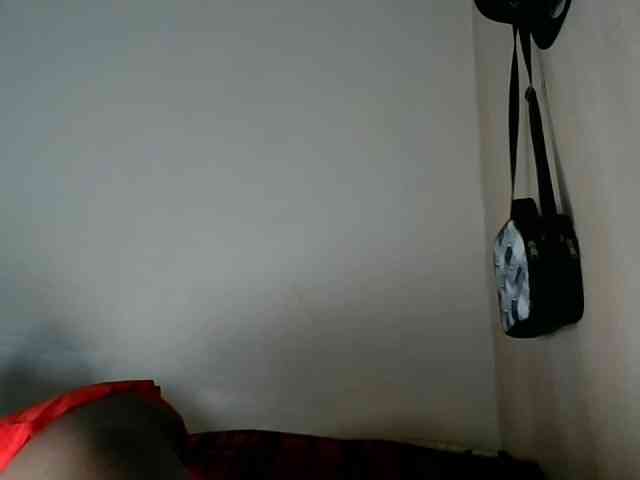 Niceone5 webcam