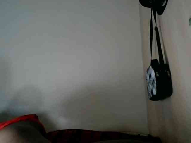 Niceone5 webcam