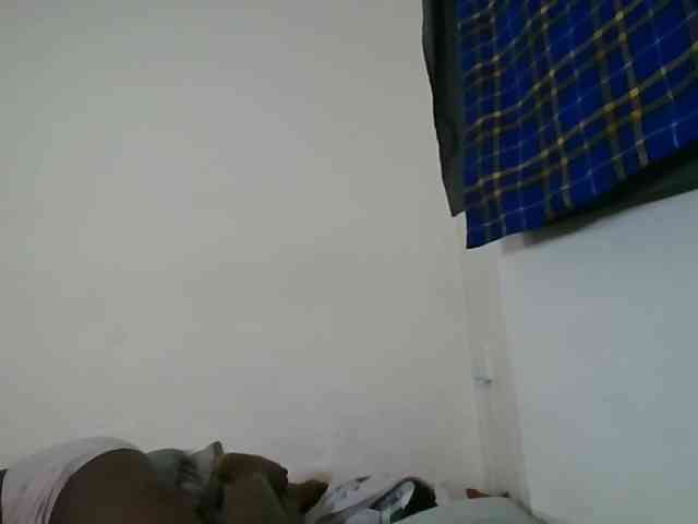 Niceone5 webcam