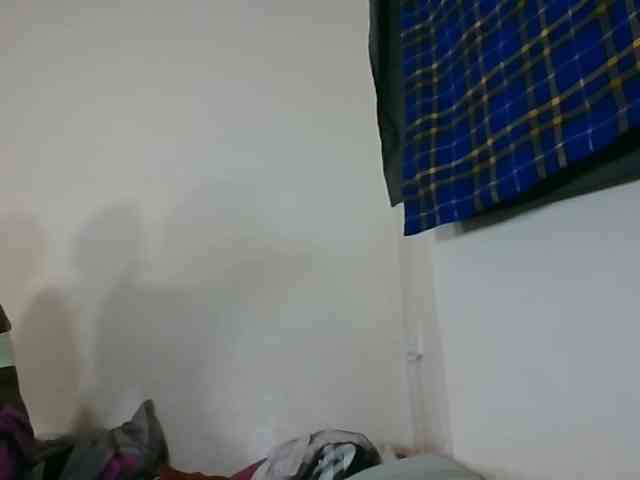 Niceone5 webcam