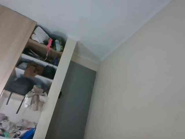 Niceone5 webcam