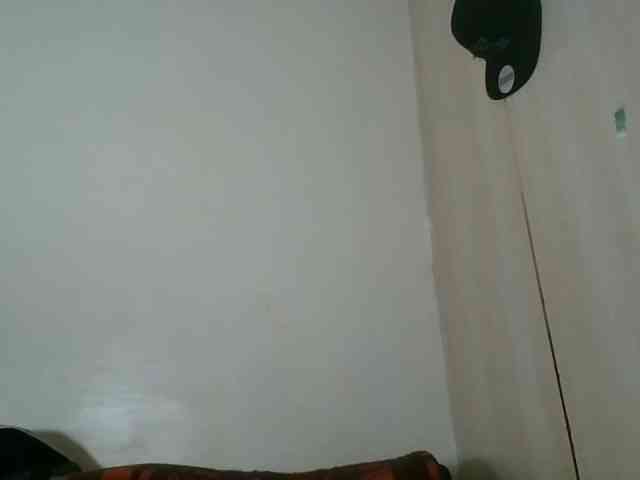 Niceone5 webcam
