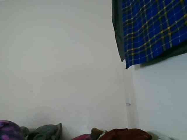 Niceone5 webcam