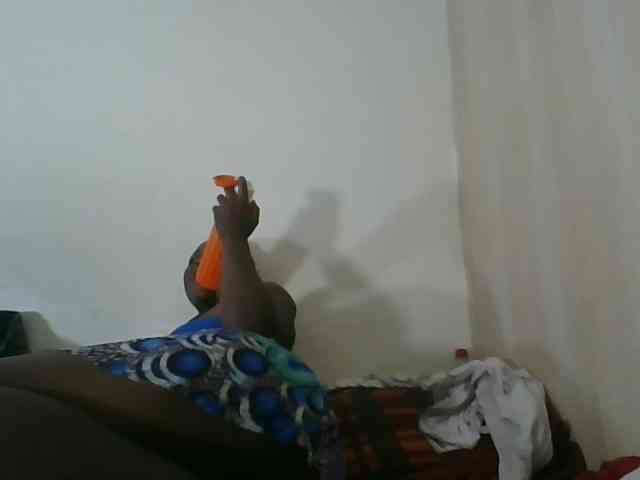Niceone5 webcam