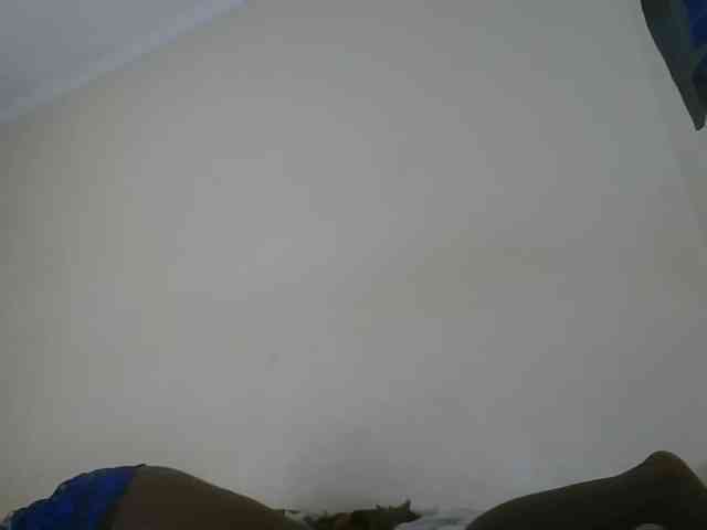 Niceone5 webcam