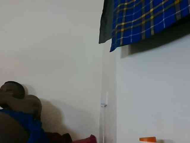 Niceone5 webcam
