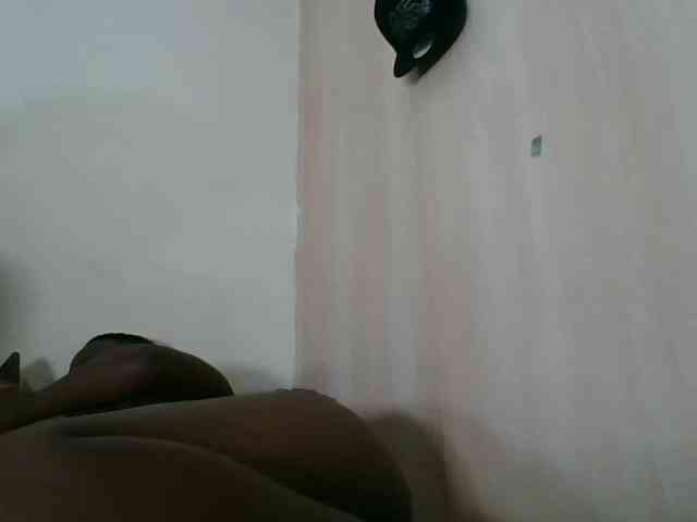 Niceone5 webcam