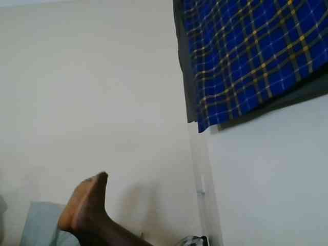Niceone5 webcam