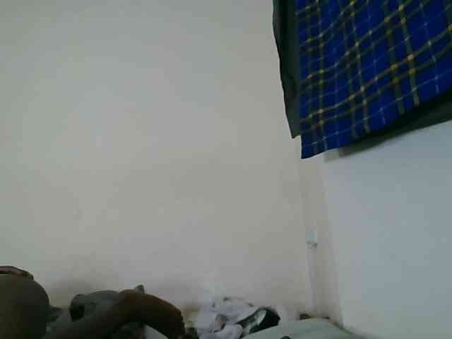 Niceone5 webcam