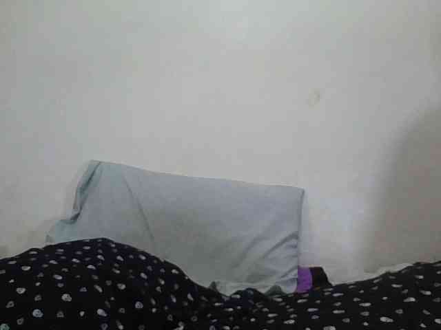 Niceone5 webcam