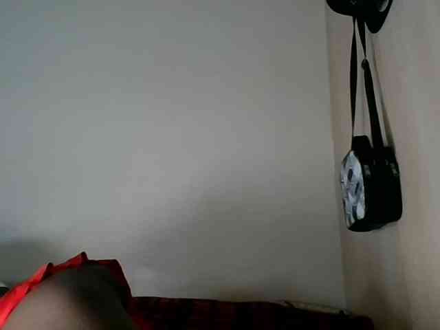 Niceone5 webcam