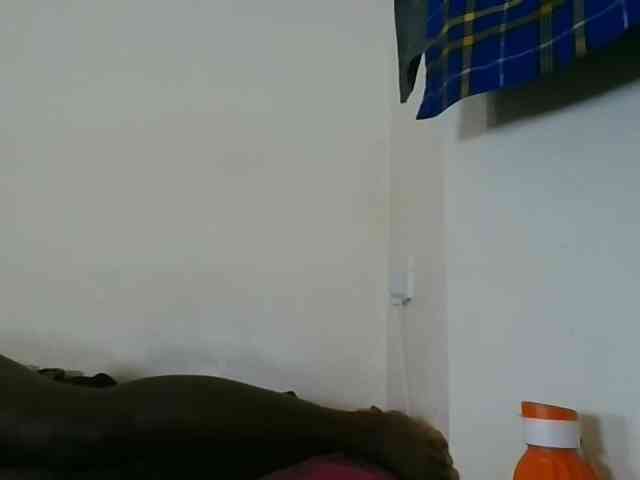 Niceone5 webcam