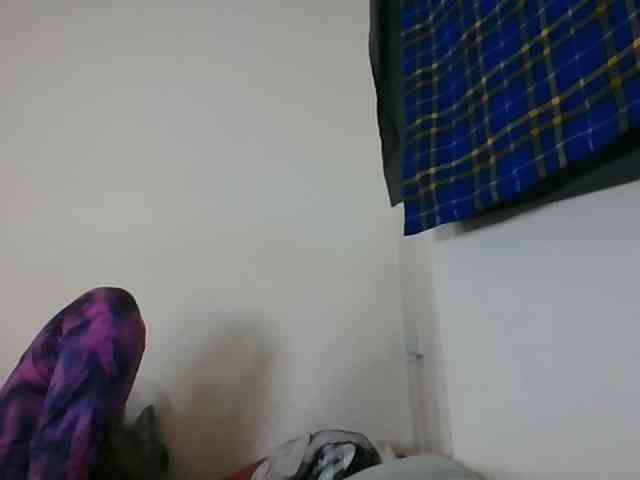 Niceone5 webcam