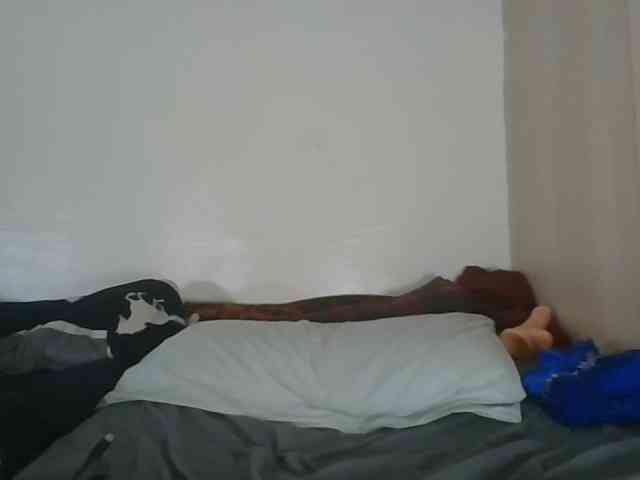 Niceone5 webcam
