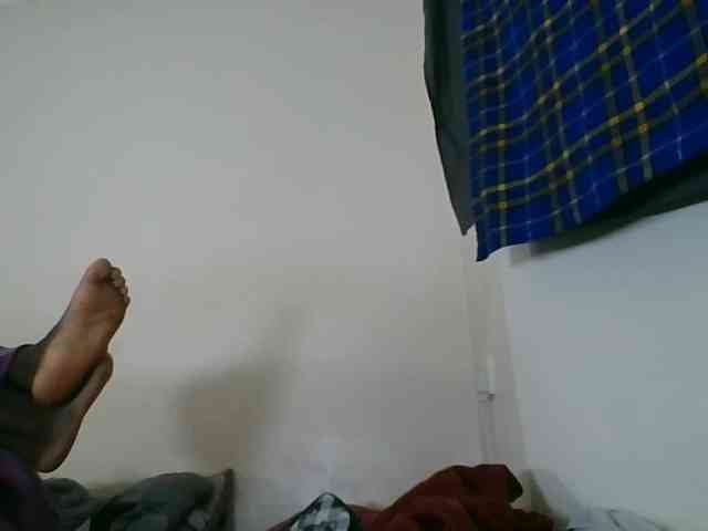 Niceone5 webcam