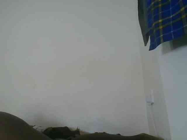 Niceone5 webcam