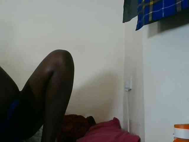 Niceone5 webcam