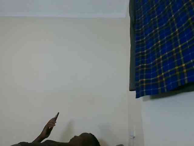 Niceone5 webcam