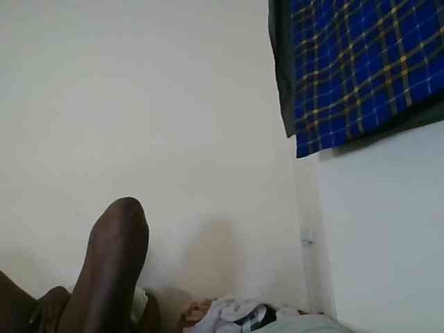 Niceone5 webcam