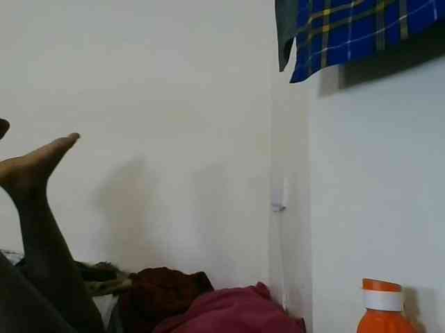 Niceone5 webcam