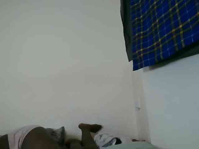 Niceone5 webcam