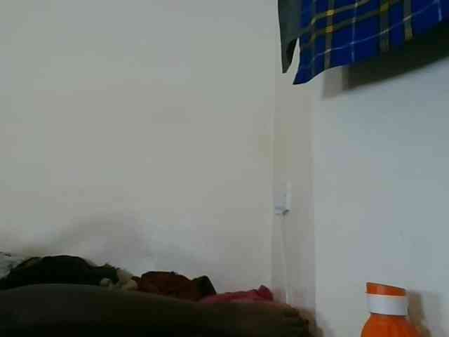 Niceone5 webcam