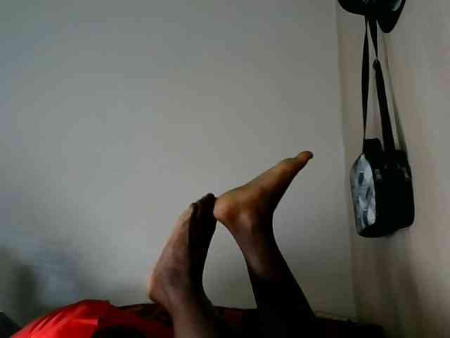 Niceone5 webcam