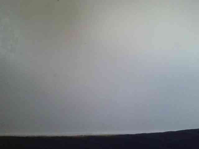 Niceone5 webcam