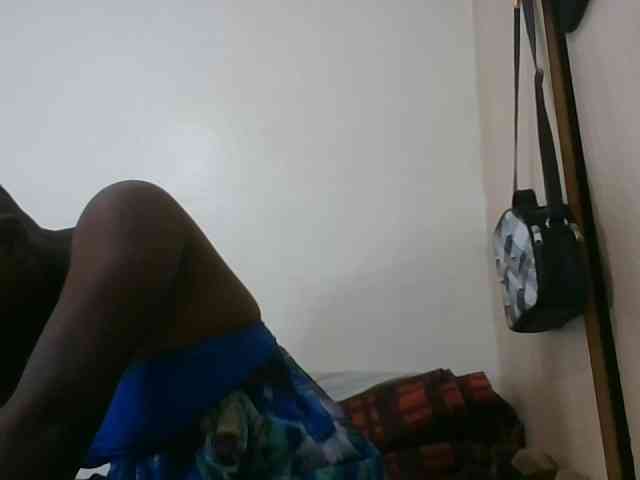 Niceone5 webcam