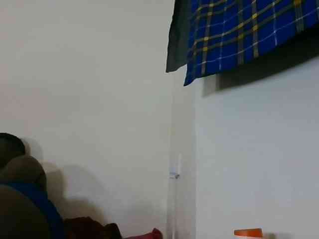 Niceone5 webcam