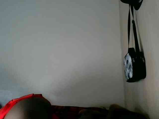 Niceone5 webcam