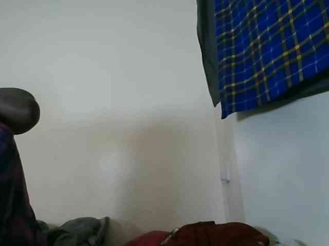 Niceone5 webcam