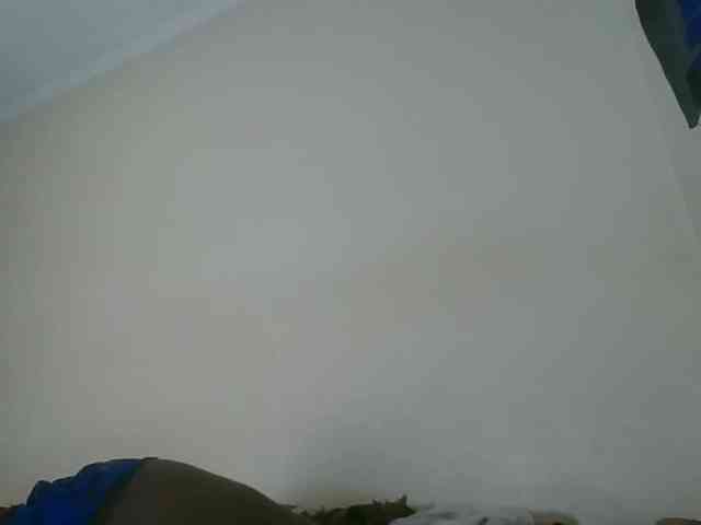 Niceone5 webcam