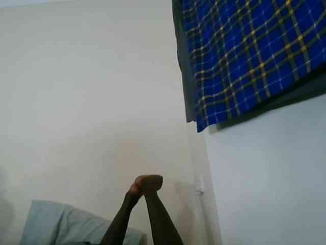 Niceone5 webcam