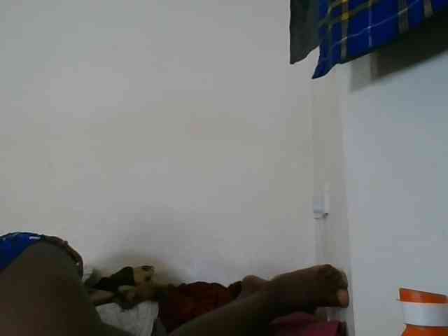 Niceone5 webcam