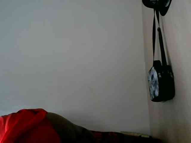 Niceone5 webcam