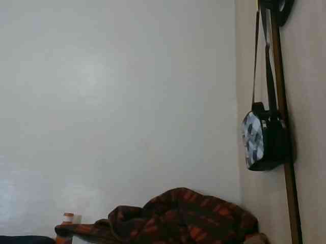Niceone5 webcam