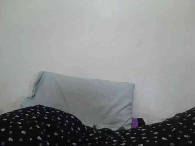 Niceone5 webcam