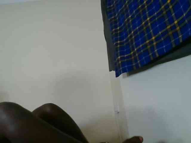 Niceone5 webcam