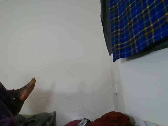 Niceone5 webcam