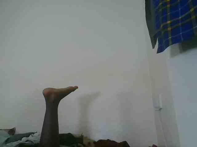 Niceone5 webcam