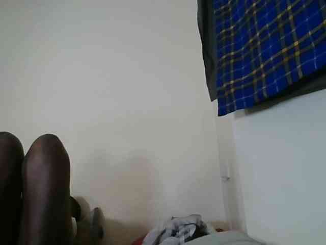 Niceone5 webcam